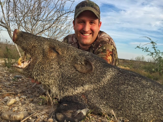 JAvelina